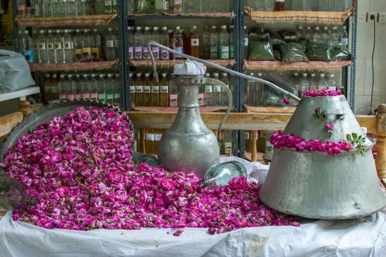 Rose Essential Oil Extraction Methods